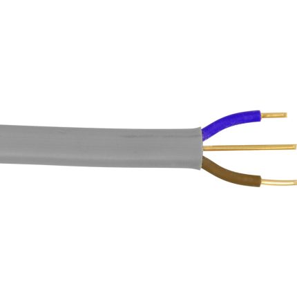 Pitacs Twin & Earth Cable (6242Y) Grey 1.0mm²